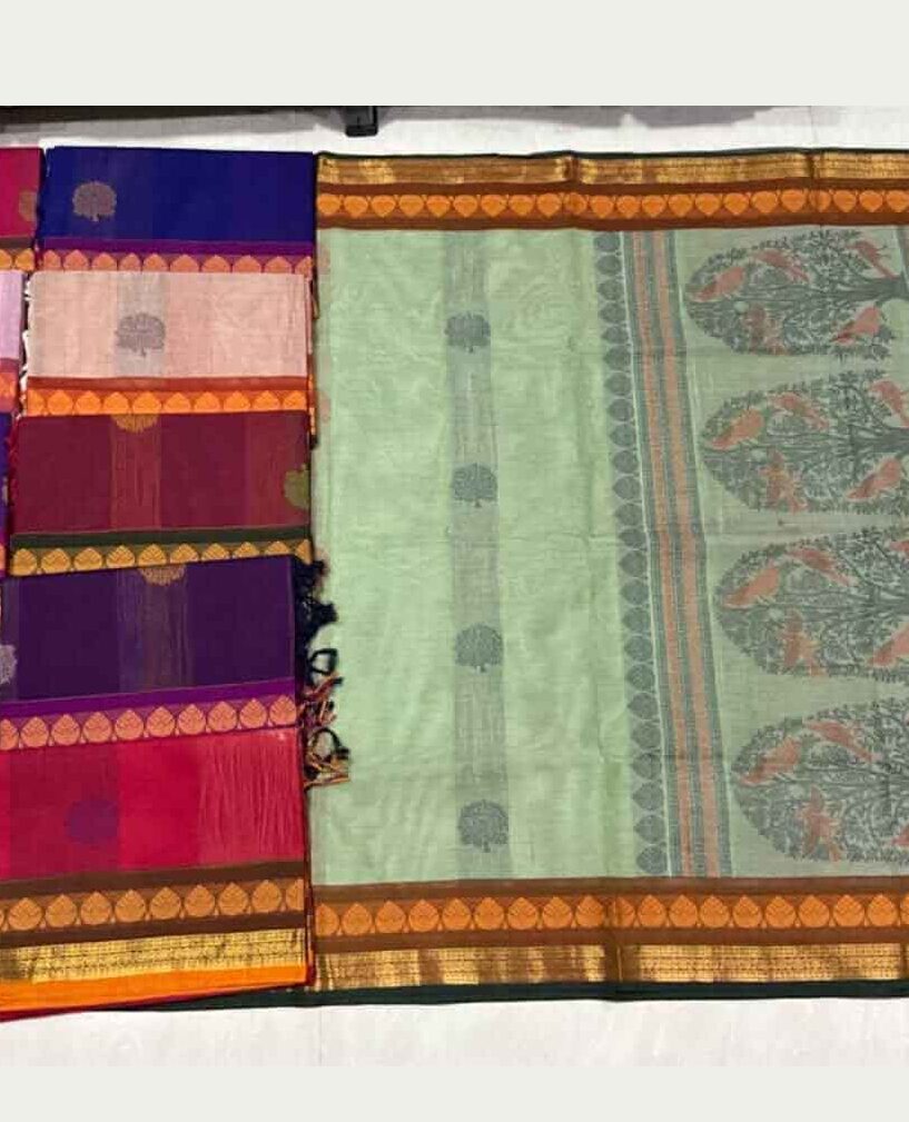 Kanchi Cotton